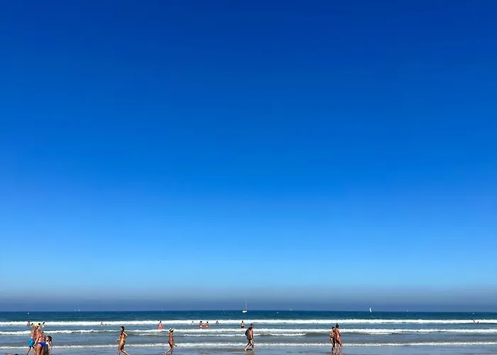 Cozy Flat 5 Mins From The Gijón