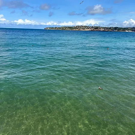 Cozy Flat 5 Mins From The Apartment